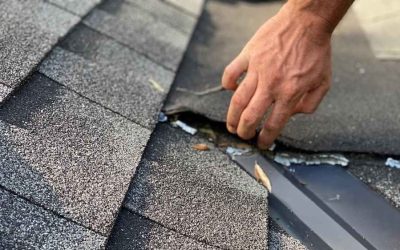 Spot Roof Problems Early: Expert Roof Inspection Services in Blue Ridge