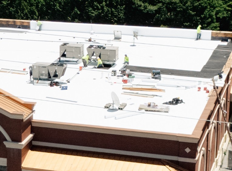 Project Scale and Service Offerings